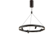Подвесной светильник ODEON LIGHT BEVEREN 6683/77L